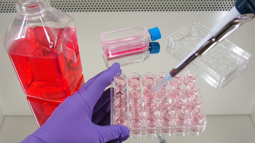  Balanced Salt Solution with Sodim bicarbonate, w/o Calcium, Magnesium and Phenol red 